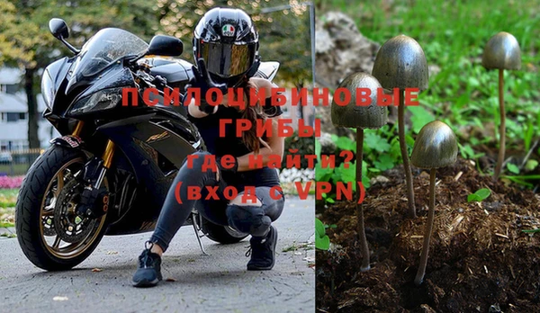 скорость Лиски
