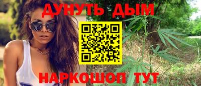 шишки Донской