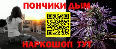 шишки Донской
