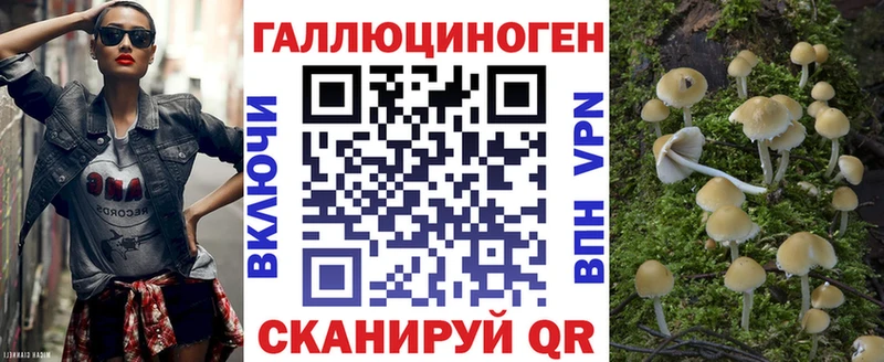 Псилоцибиновые грибы GOLDEN TEACHER  наркотики  Тихорецк 