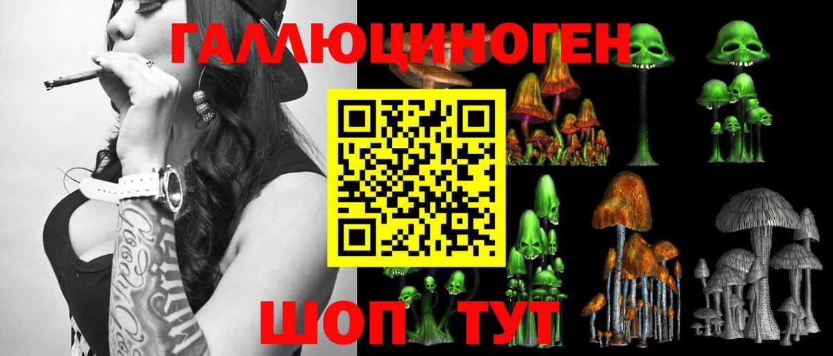 Псилоцибиновые грибы Psilocybe Тихорецк