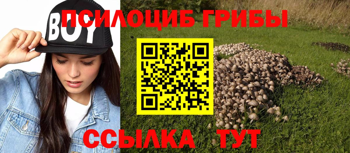 Псилоцибиновые грибы мухоморы  Вход с VPN  наркошоп  Тихорецк  Галлюциногенные грибы прущие грибы 